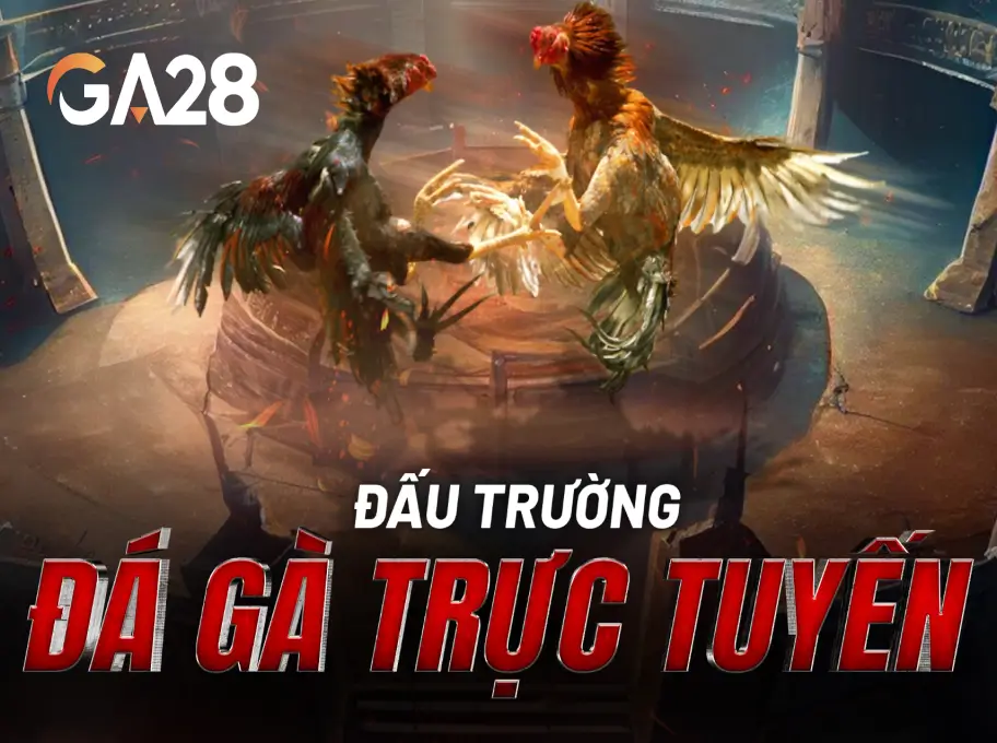 Trang Chủ 40 dautruongga28