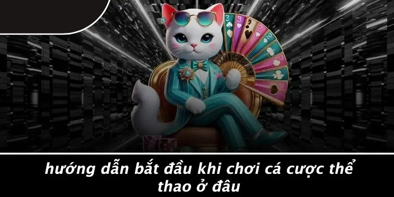 CHƠI CÁ CƯỢC THỂ THAO Ở ĐÂU: NHỮNG NỀN TẢNG UY TÍN NÊN THỬ 3 Hướng Dẫn Bắt Đầu Khi Chơi Cá Cược Thể Thao Ở Đâu